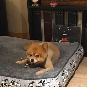 Meet your Posher, Doreen